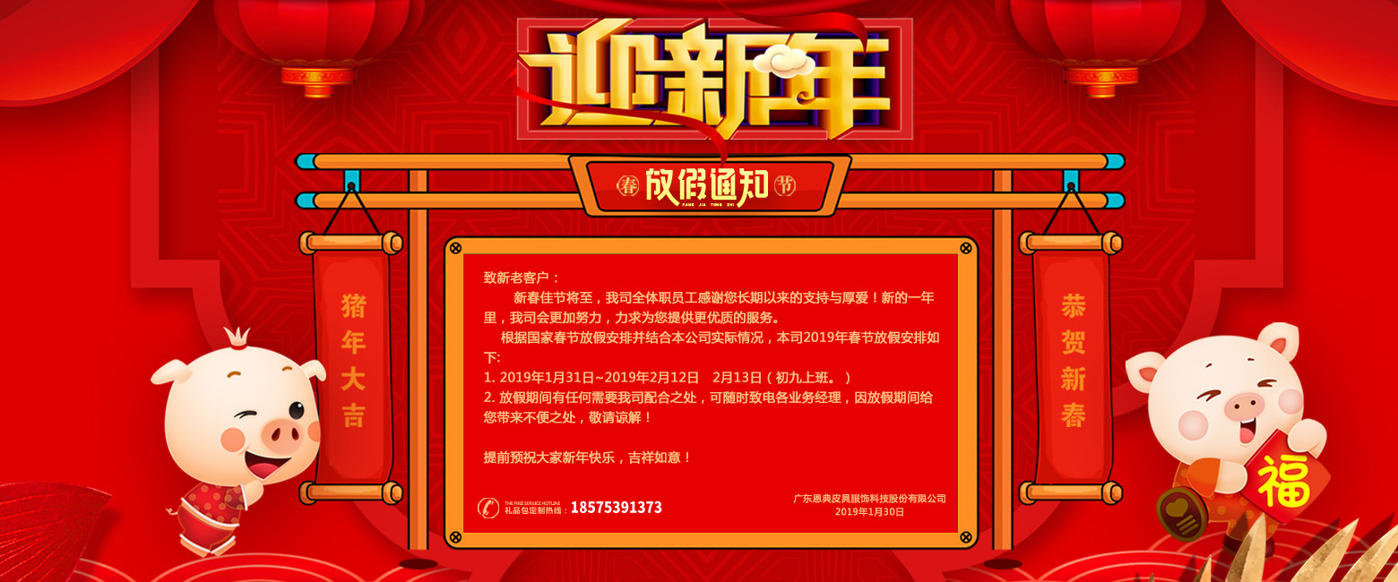 广东双肩包厂家-成功交货