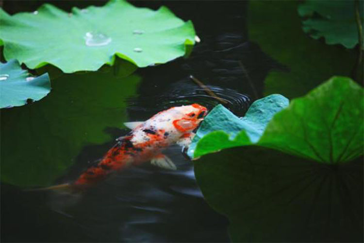 箱包厂,背包厂家礼品背包订做,书包订做,,双肩背包订做