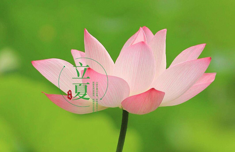 恩博士书包,豪门国际箱包,包包生产厂家,广东豪门国际科技