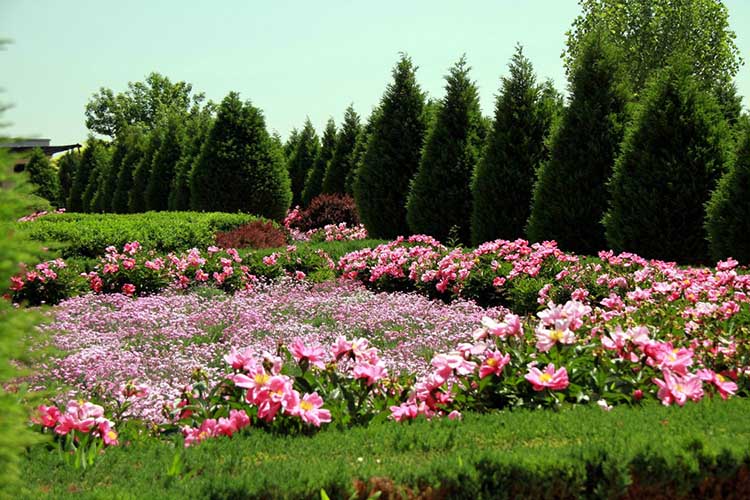 箱包厂,背包厂家礼品背包订做,书包订做,,双肩背包订做,新秀丽代工厂家